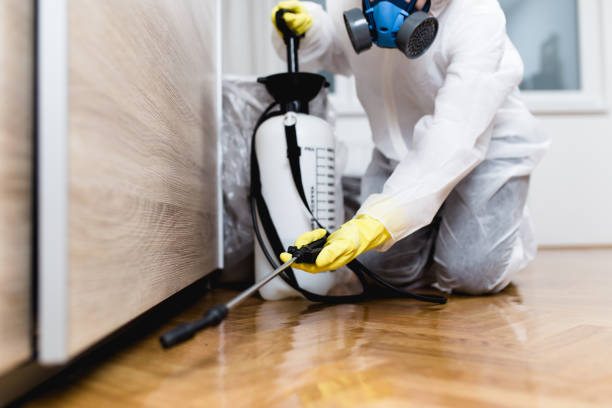 Best Cockroach Control Services  in Awendaw, SC