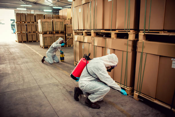 Best Bed Bug Extermination  in Awendaw, SC