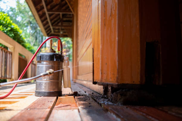 Best Affordable Pest Control Services  in Awendaw, SC