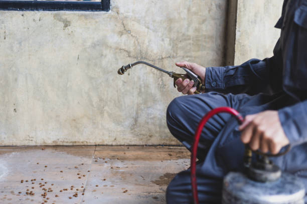 Best Pest Prevention Services  in Awendaw, SC